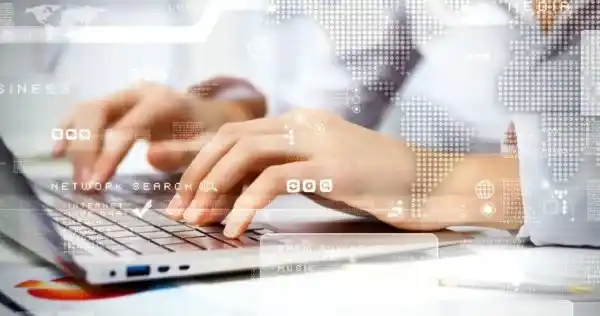 Domain IP Checker Tool