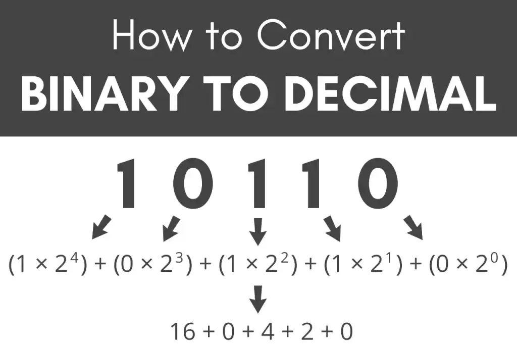 Free Binary to Decimal Converter Tool