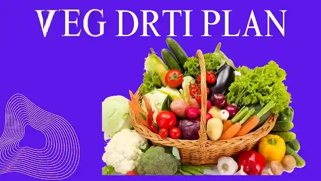 The Ultimate Veg Deit Plan
