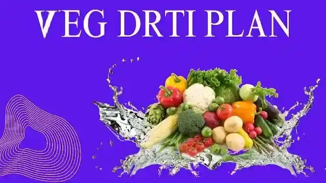 The Ultimate Veg Deit Plan